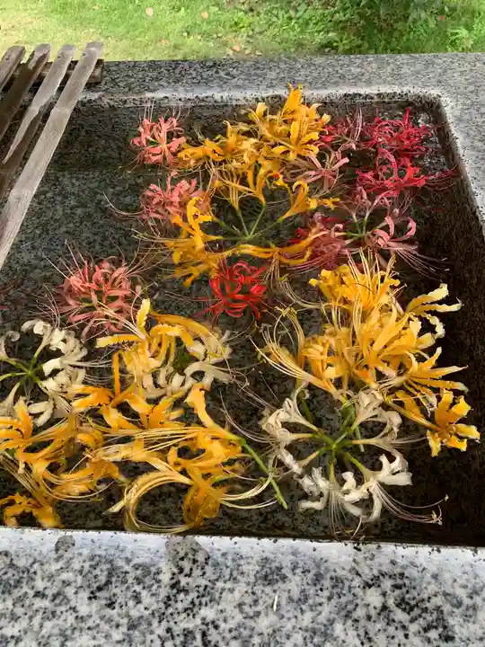 横浜 西方寺の手水舎