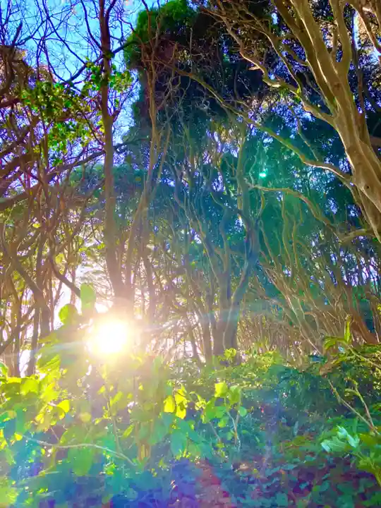 酒列磯前神社の自然