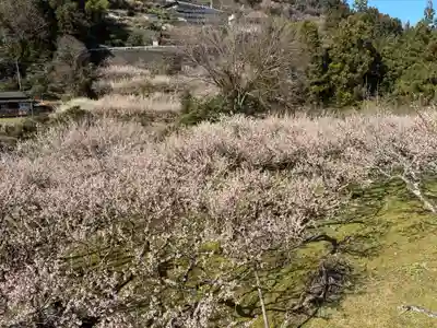二之宮八幡神社(徳島県)