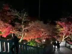 尊永寺の建物その他