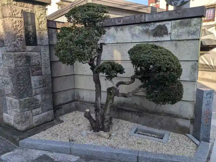 蓮久寺(東京都)