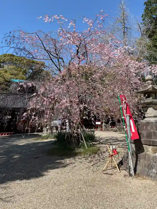 富部神社(愛知県)