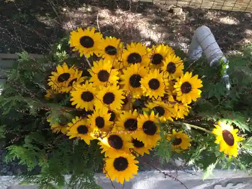 錦山天満宮の手水舎