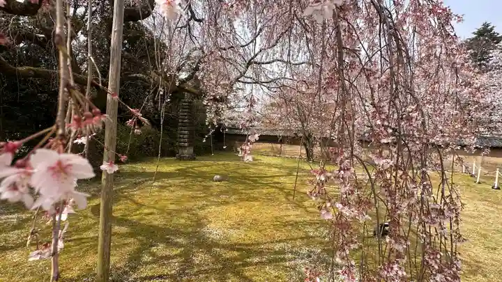 醍醐寺(京都府)