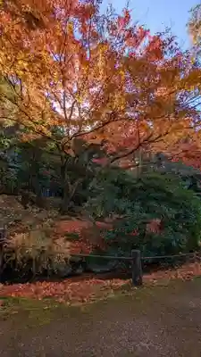 青蓮院門跡(京都府)