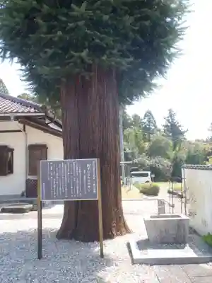 向陽寺(愛知県)