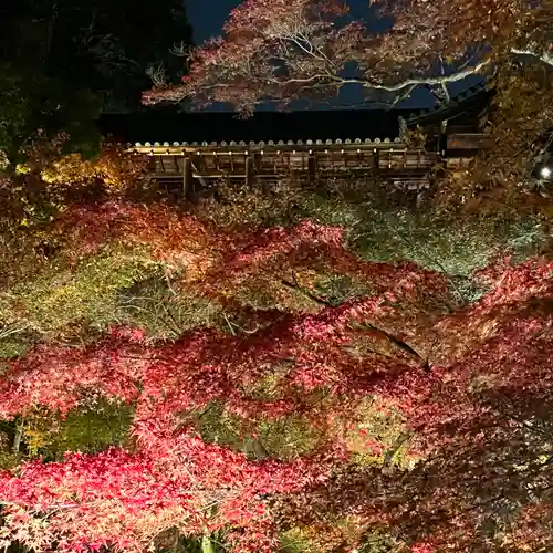 東福禅寺（東福寺）(京都府)