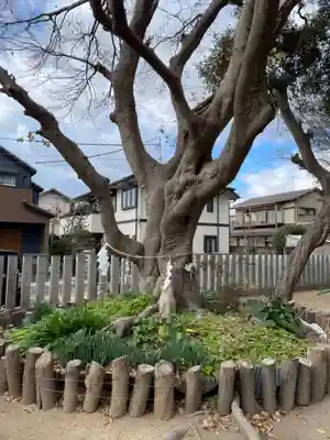 素盞嗚神社(兵庫県)