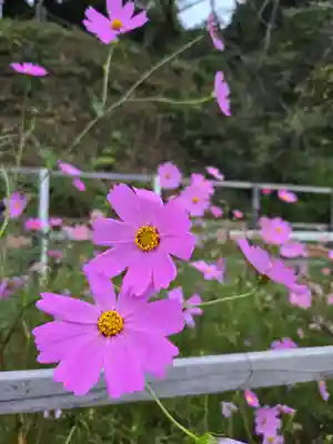 安倍文殊院 (奈良県)