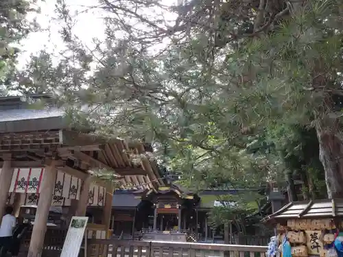 諏訪大社(長野県)