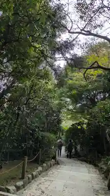 龍安寺(京都府)