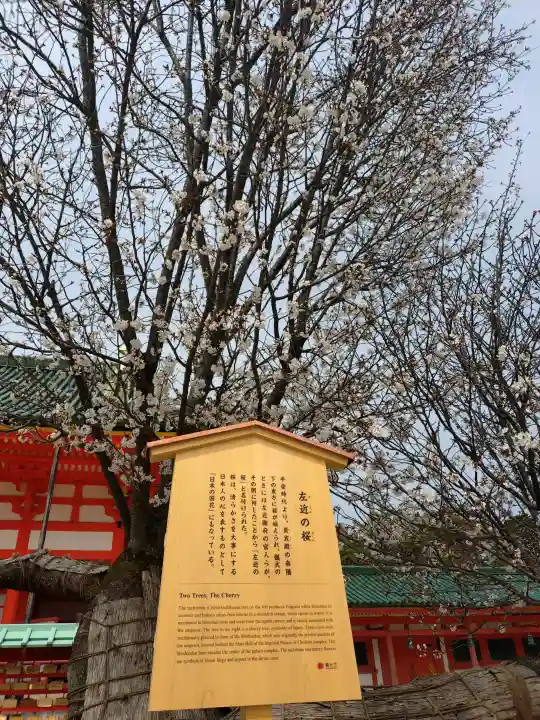 平安神宮の{uncategorized: "未分類", other: "その他", undefined: "問題あり", building: "その他建物", grave: "お墓", sacred_gate: "鳥居", guardian: "狛犬", statue: "像", buddha: "仏像", history: "歴史", nature: "自然", garden: "庭園", animal: "動物", pagoda: "塔", temizu: "手水舎", mountain_gate: "山門・神門", sanctuary: "本殿・本堂", subordinate: "末社・摂社", art: "芸術", scenery: "景色", jizo: "地蔵", ema: "絵馬", goshuin: "御朱印", omikuji: "おみくじ", items: "授与品その他", amulet: "お守り", goshuincho: "御朱印帳", eats: "食事", festival: "お祭り", votive_dance: "神楽", shichigosan: "七五三参", wedding: "結婚式", experience: "体験その他", initially: "初詣", around: "周辺", anti_infection: "感染症対策"}