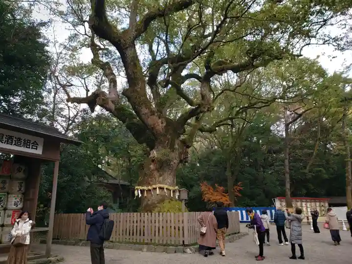 熱田神宮の自然