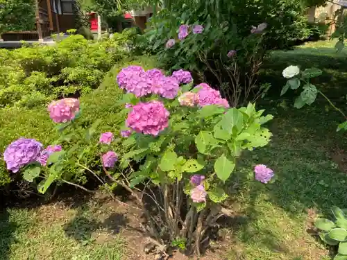 日蓮宗　浄運寺(東京都)