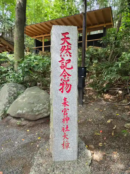 來宮神社(静岡県)
