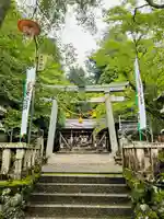 天鷹神社(岐阜県)