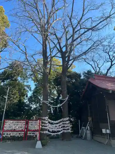 多摩川浅間神社の自然