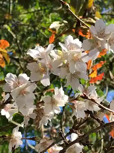鹿島大神宮(福島県)