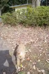 玉野御嶽神社の動物