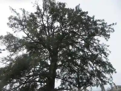 下神明天祖神社(東京都)