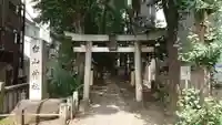 荻窪白山神社の鳥居