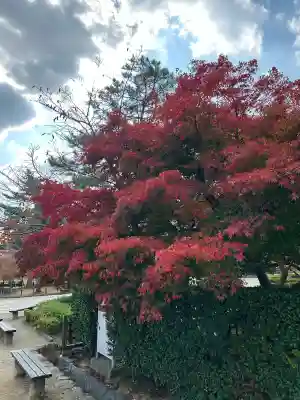 法隆寺の{uncategorized: "未分類", other: "その他", undefined: "問題あり", building: "その他建物", grave: "お墓", sacred_gate: "鳥居", guardian: "狛犬", statue: "像", buddha: "仏像", history: "歴史", nature: "自然", garden: "庭園", animal: "動物", pagoda: "塔", temizu: "手水舎", mountain_gate: "山門・神門", sanctuary: "本殿・本堂", subordinate: "末社・摂社", art: "芸術", scenery: "景色", jizo: "地蔵", ema: "絵馬", goshuin: "御朱印", omikuji: "おみくじ", items: "授与品その他", amulet: "お守り", goshuincho: "御朱印帳", eats: "食事", festival: "お祭り", votive_dance: "神楽", shichigosan: "七五三参", wedding: "結婚式", experience: "体験その他", initially: "初詣", around: "周辺", anti_infection: "感染症対策"}