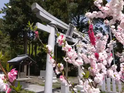 與須奈神社(福井県)