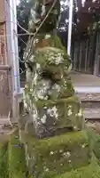 神倉神社の狛犬