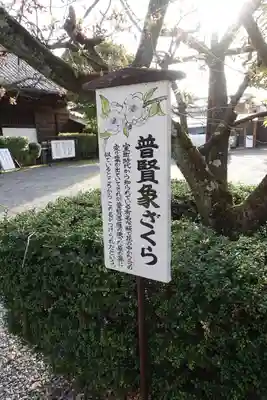 大報恩寺（千本釈迦堂）(京都府)