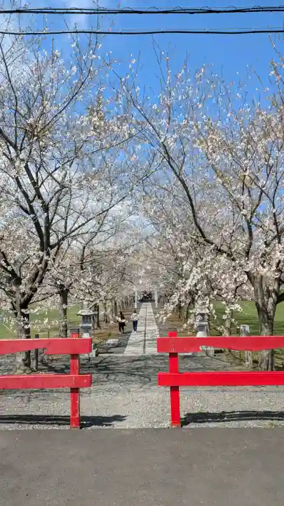 明和神社の{uncategorized: "未分類", other: "その他", undefined: "問題あり", building: "その他建物", grave: "お墓", sacred_gate: "鳥居", guardian: "狛犬", statue: "像", buddha: "仏像", history: "歴史", nature: "自然", garden: "庭園", animal: "動物", pagoda: "塔", temizu: "手水舎", mountain_gate: "山門・神門", sanctuary: "本殿・本堂", subordinate: "末社・摂社", art: "芸術", scenery: "景色", jizo: "地蔵", ema: "絵馬", goshuin: "御朱印", omikuji: "おみくじ", items: "授与品その他", amulet: "お守り", goshuincho: "御朱印帳", eats: "食事", festival: "お祭り", votive_dance: "神楽", shichigosan: "七五三参", wedding: "結婚式", experience: "体験その他", initially: "初詣", around: "周辺", anti_infection: "感染症対策"}