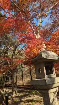 宇治上神社(京都府)