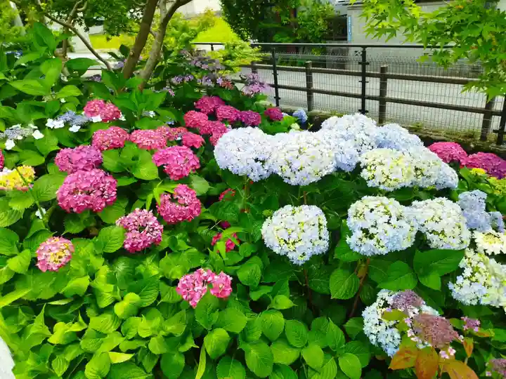 機物神社(大阪府)