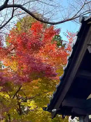 春日神社の自然