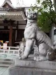 鳥越神社の狛犬