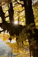 八畝観音堂(高知県)