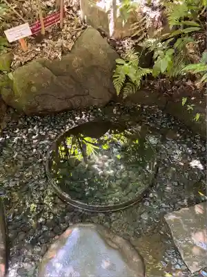 明治神宮(東京都)