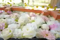 帯廣神社の手水舎