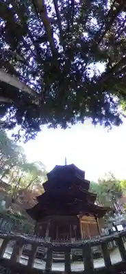 安楽寺(長野県)