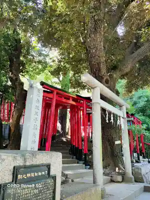乃木神社の鳥居