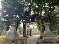 赤坂氷川神社の鳥居