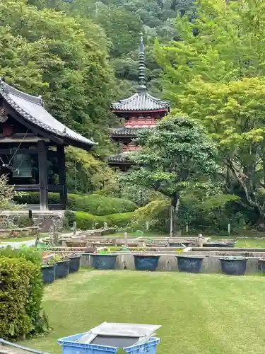 三室戸寺(京都府)