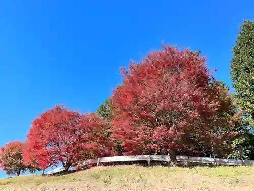 滑川神社 - 仕事と子どもの守り神の自然