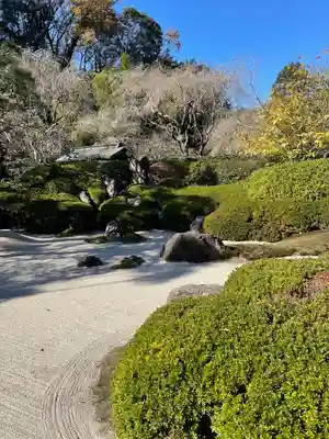 明月院(神奈川県)