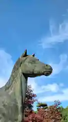 京都乃木神社の狛犬