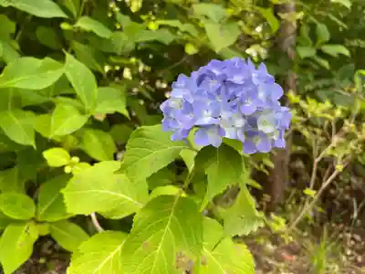 清水寺(京都府)
