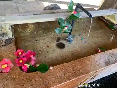 金崎宮の手水舎