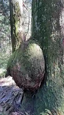 花園神社(茨城県)