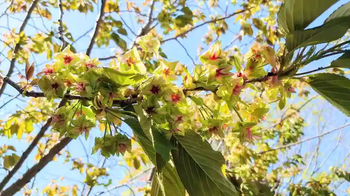 大報恩寺(千本釈迦堂)(京都府)