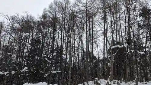 定山渓神社の自然