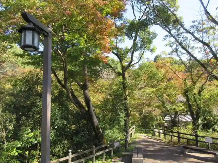 根来寺の自然